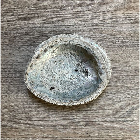 Vintage Beautiful Natural Abalone Shell Collectible Art Shell - Picture 1 of 4